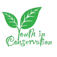 youths in action